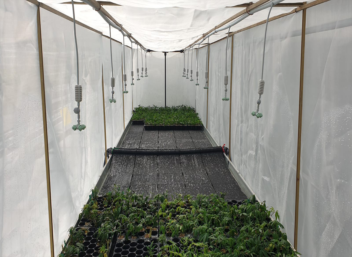 חוות מורי מור - אגרימט לחימום בתי שורשים קנאביס